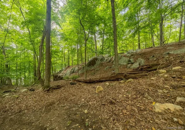 Photo 3 of Land for sale at 47 Rock Rd N, Carmel, NY 10512 | MLS# 1037855 | Listing updated on 2026-09-18