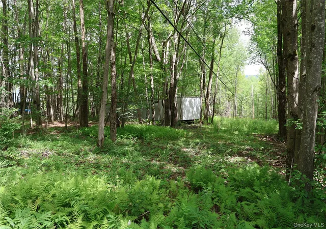 Photo 2 of Land for sale at 7401 Millbrook Rd, Hardenburgh, NY 12406 | MLS# 1039867 | Listing updated on 2026-09-18