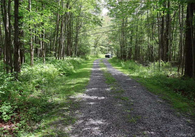 Photo 4 of Land for sale at 7401 Millbrook Rd, Hardenburgh, NY 12406 | MLS# 1039867 | Listing updated on 2026-09-18