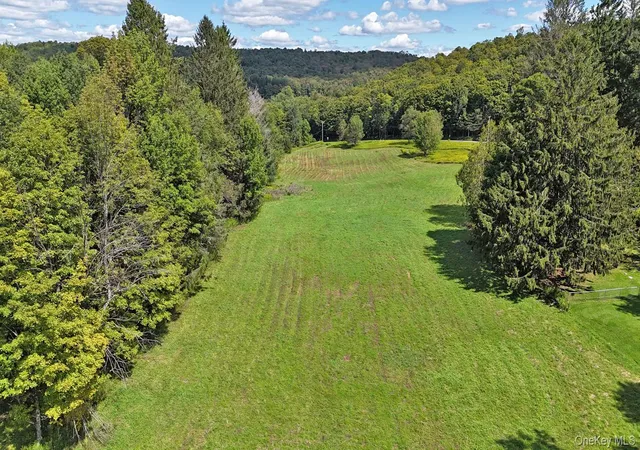 Photo 4 of Single family home for sale at 4011 Klondike Rd, Hancock, NY 13783 | MLS# 1042908 | Listing updated on 2026-09-18