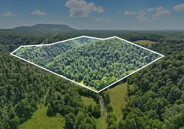 Photo 2 of Land for sale at 4006 Stones River Rd, Woodbury, TN 37190 | MLS# 2914749 | Listing updated on 2026-09-16