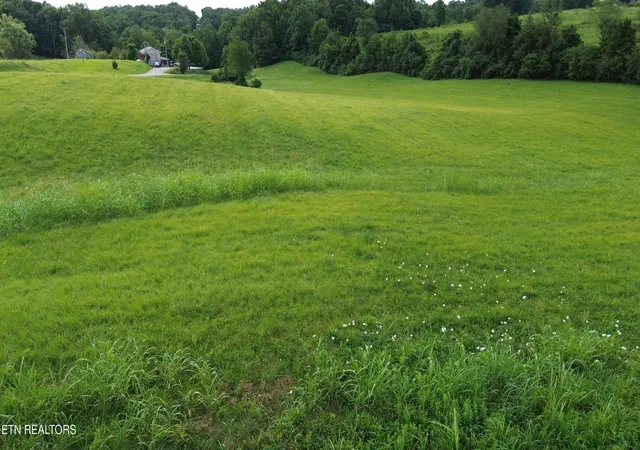 Photo 3 of House for sale at 85 Flowers Rd, Monroe, TN 38573 | MLS# 3184355 | Listing updated on 2026-09-17