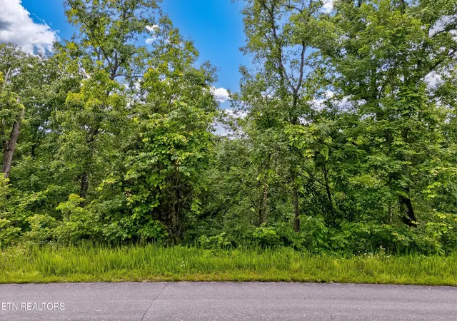 Photo 2 of Land for sale at 0 Tranquility Tr, Dandridge, TN 37725 | MLS# 3544596 | Listing updated on 2026-09-11