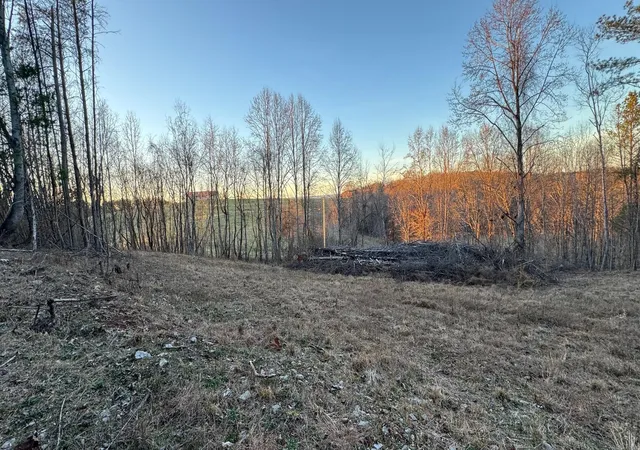 Photo 3 of Land for sale at 2100 Cottonport Ridge Rd, Decatur, TN 37322 | MLS# 3193001 | Listing updated on 2026-09-17