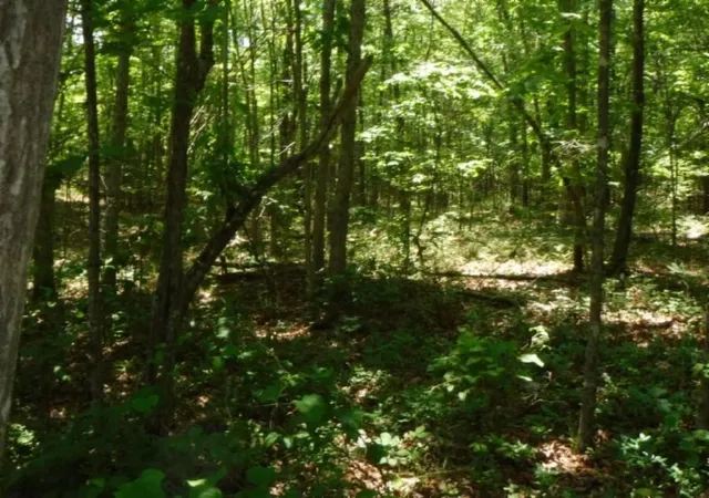Photo 1 of Land for sale at 129 Rushing Springs Rd, Monterey, TN 38574 | MLS# 3127890 | Listing updated on 2026-09-17