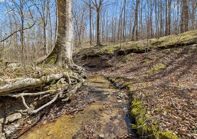 Photo 4 of Land for sale at 3819 Bear Crk Rd, Thompsons Station, TN 37179 | MLS# 3156048 | Listing updated on 2026-10-21