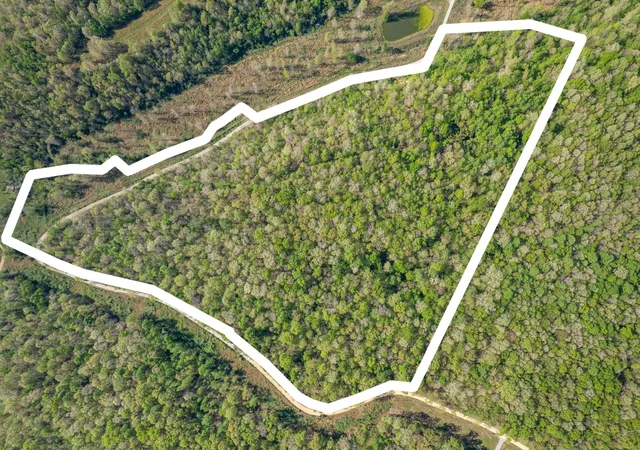 Photo 1 of Land for sale at 0 Chief Crk Rd, Lawrenceburg, TN 38464 | MLS# 3180628 | Listing updated on 2026-09-21