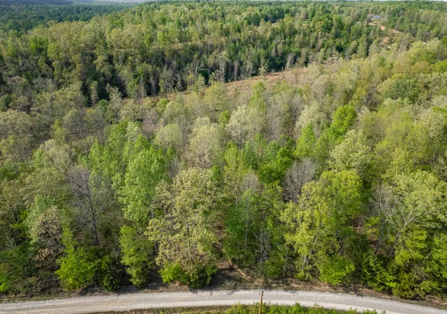 Photo 3 of Land for sale at 0 Chief Crk Rd, Lawrenceburg, TN 38464 | MLS# 3180628 | Listing updated on 2026-09-21