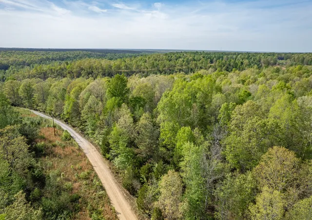 Photo 3 of Land for sale at 0 Chief Crk Rd, Lawrenceburg, TN 38464 | MLS# 3180628 | Listing updated on 2026-09-21