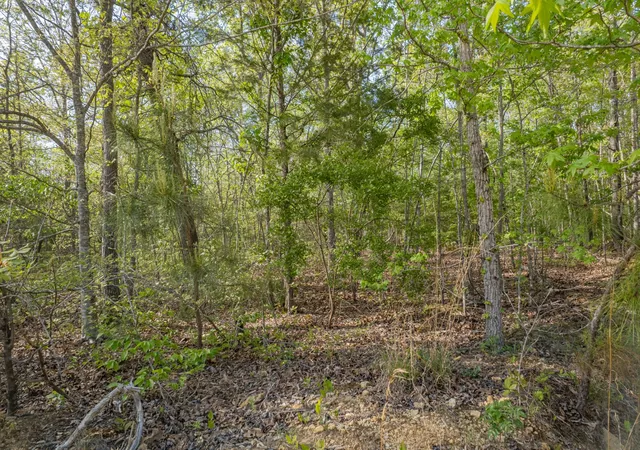 Photo 4 of Land for sale at 0 Chief Crk Rd, Lawrenceburg, TN 38464 | MLS# 3180628 | Listing updated on 2026-09-21