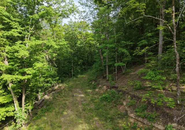 Photo 3 of Land for sale at 0 Bethel Rd, Pulaski, TN 38478 | MLS# 3180847 | Listing updated on 2026-09-09
