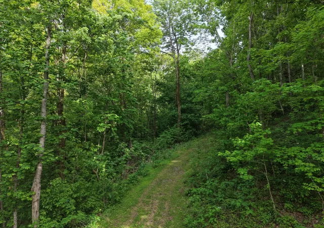 Photo 3 of House for sale at 0 Bethel Rd, Pulaski, TN 38478 | MLS# 3180847 | Listing updated on 2026-09-26