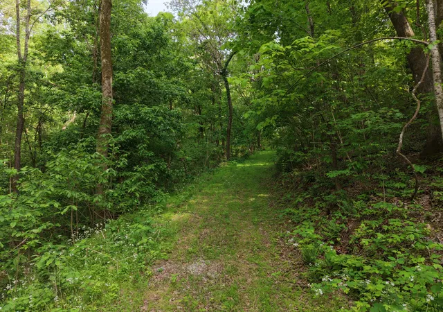 Photo 4 of House for sale at 0 Bethel Rd, Pulaski, TN 38478 | MLS# 3180847 | Listing updated on 2026-09-26