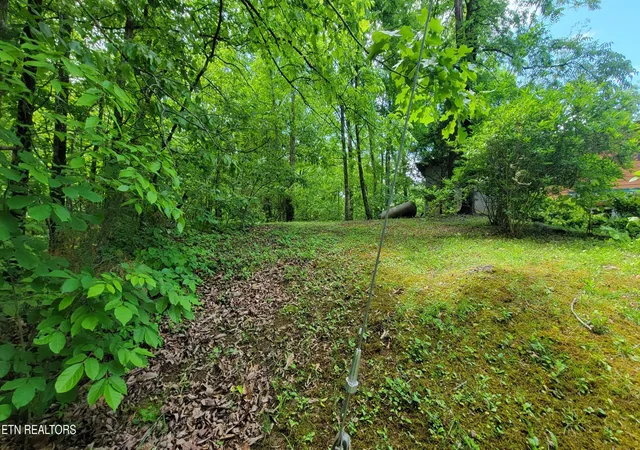 Photo 4 of Land for sale at 0 Paradise Ridge Dr, Sevierville, TN 37862 | MLS# 3544508 | Listing updated on 2026-09-09