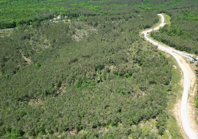 Photo 1 of Land for sale at 140 Pinewood Dr, Hohenwald, TN 38462 | MLS# 3204737 | Listing updated on 2026-10-01