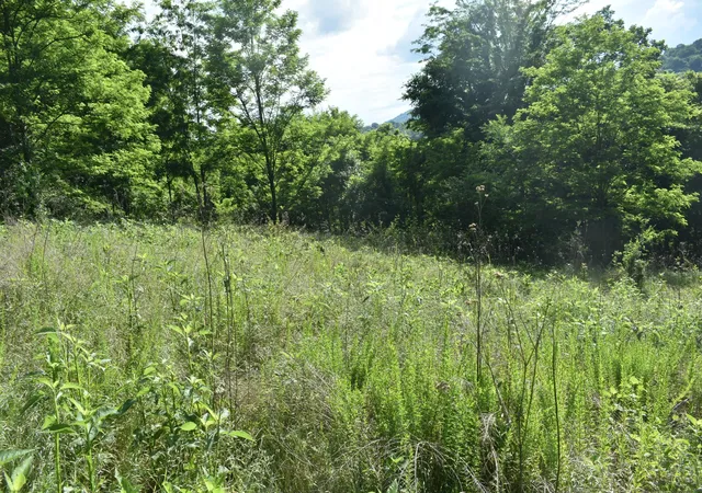 Photo 4 of Land for sale at 0 Brooks Bnd Ln, Gainesboro, TN 38562 | MLS# 3215234 | Listing updated on 2026-09-17