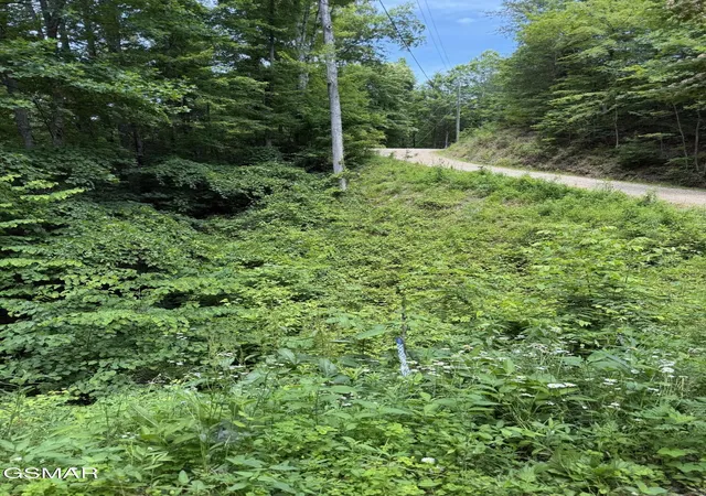 Photo 1 of Land for sale at 56 Butternut Ln, Sevierville, TN 37876 | MLS# 3270035 | Listing updated on 2026-10-19