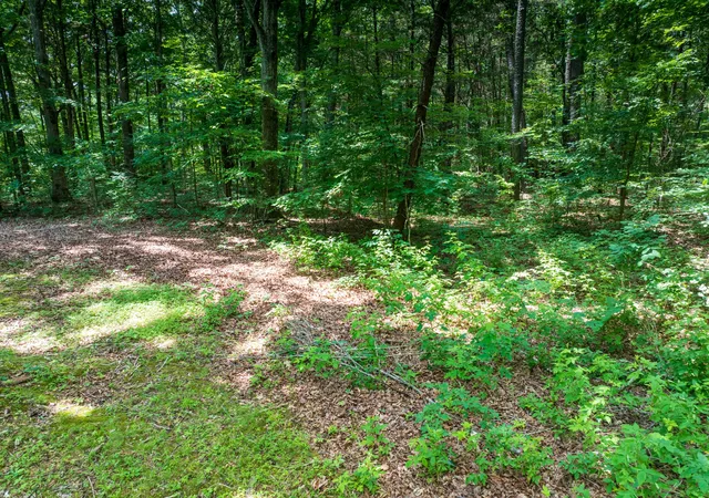 Photo 3 of Land for sale at 0 Highway 70 N, Dickson, TN 37055 | MLS# 3255176 | Listing updated on 2026-09-09