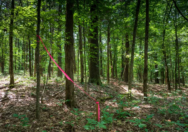 Photo 4 of Land for sale at 0 Highway 70 N, Dickson, TN 37055 | MLS# 3255176 | Listing updated on 2026-09-09