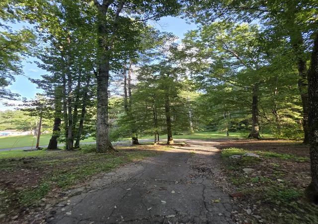Photo 2 of Single family home for sale at 4980 Louise Crk Rd, Cunningham, TN 37052 | MLS# 3501134 | Listing updated on 2026-09-16