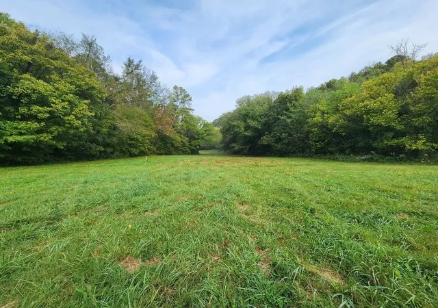 Photo 3 of Land for sale at 0 Webster Branch Ln, Whitleyville, TN 38588 | MLS# 3285812 | Listing updated on 2026-10-12
