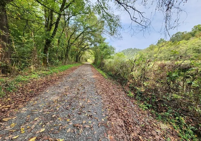 Photo 4 of Land for sale at 0 Webster Branch Ln, Whitleyville, TN 38588 | MLS# 3285812 | Listing updated on 2026-10-12