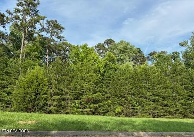 Photo 3 of Land for sale at 17 Waterstone Dr, Dandridge, TN 37725 | MLS# 3317302 | Listing updated on 2026-09-17