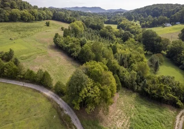 Photo 3 of Land for sale at 0 Badger Ln, Carthage, TN 37030 | MLS# 3510596 | Listing updated on 2026-09-30