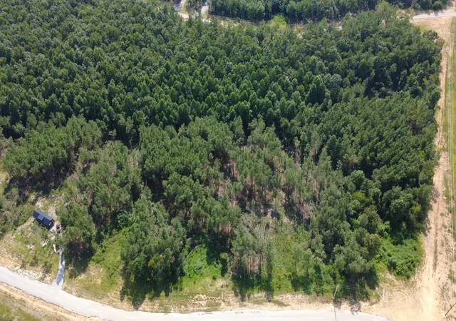 Photo 3 of Land for sale at 110 Hilltop Dr, Hohenwald, TN 38462 | MLS# 3512666 | Listing updated on 2026-09-16