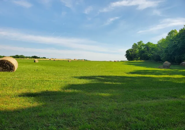 Photo 3 of Land for sale at 30 3 Forks Bridge Rd, Wartrace, TN 37183 | MLS# 3527083 | Listing updated on 2026-09-08