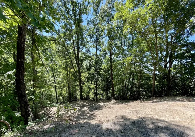 Photo 1 of Land for sale at 2324 Red Maple Lane, Sevierville, TN 37876 | MLS# 3527353 | Listing updated on 2026-09-18