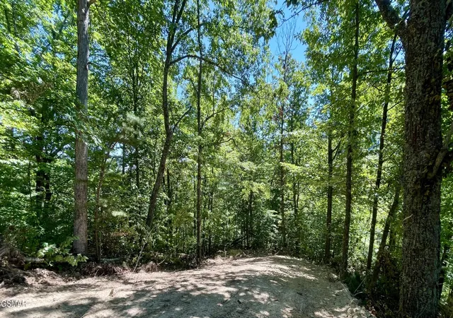 Photo 2 of Land for sale at 2324 Red Maple Lane, Sevierville, TN 37876 | MLS# 3527353 | Listing updated on 2026-09-18