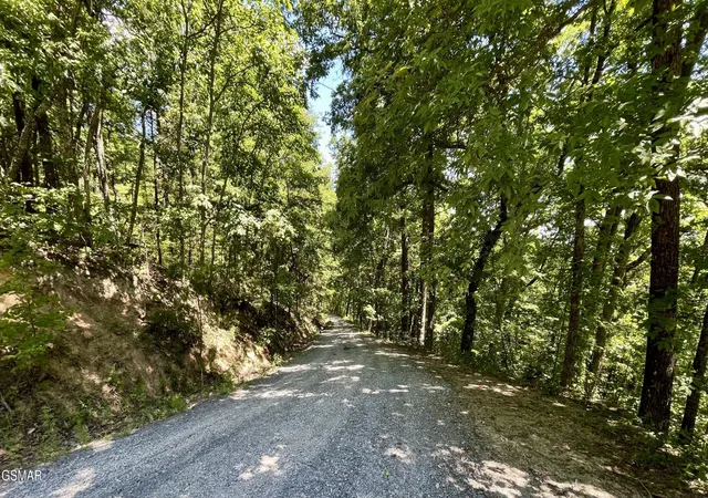 Photo 4 of Land for sale at 2324 Red Maple Lane, Sevierville, TN 37876 | MLS# 3527353 | Listing updated on 2026-09-18