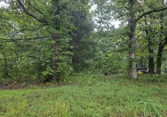 Land for sale at 1875 Old Lock A Rd, Charlotte, TN 37036 | MLS# 3527860