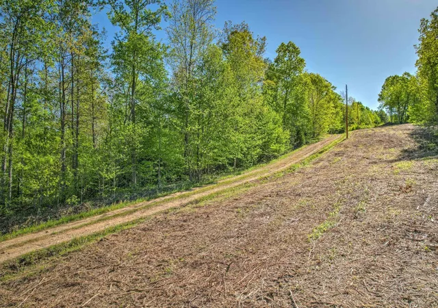 Photo 3 of Land for sale at 0 Chief Creek Rd, Lawrenceburg, TN 38464 | MLS# 3528869 | Listing updated on 2026-09-16