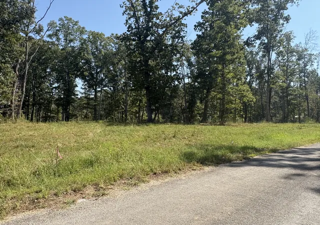 Photo 2 of Land for sale at 0 Shelton Cemetery Rd, Cumberland Furnace, TN 37051 | MLS# 3542417 | Listing updated on 2026-09-17