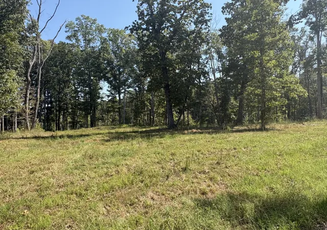 Photo 3 of Land for sale at 0 Shelton Cemetery Rd, Cumberland Furnace, TN 37051 | MLS# 3542417 | Listing updated on 2026-09-17