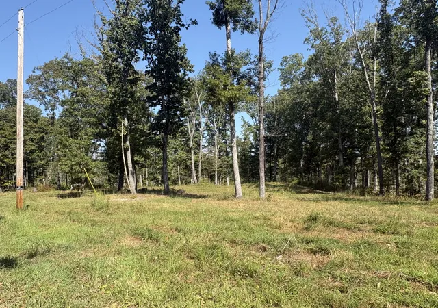 Photo 3 of Land for sale at 0 Shelton Cemetery Rd, Cumberland Furnace, TN 37051 | MLS# 3542417 | Listing updated on 2026-09-17