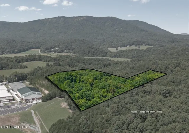 Photo 3 of House for sale at 0 Daugherty Springs Rd, Tellico Plains, TN 37385 | MLS# 3542877 | Listing updated on 2026-09-18