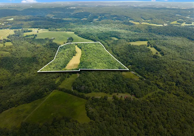 Photo 2 of Land for sale at 4647 Cowhorne Holw Rd, Prospect, TN 38477 | MLS# 3544239 | Listing updated on 2026-09-08