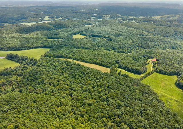 Photo 3 of Land for sale at 4647 Cowhorne Holw Rd, Prospect, TN 38477 | MLS# 3544239 | Listing updated on 2026-09-08