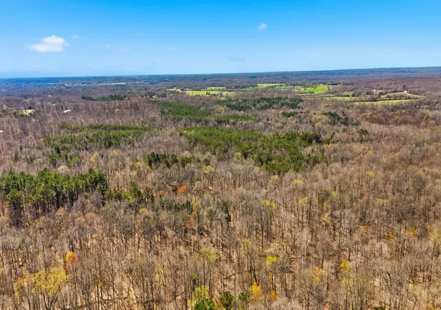Photo 3 of Land for sale at 0 Fowler Rd, Beech Bluff, TN 38313 | MLS# 3593059 | Listing updated on 2026-09-16
