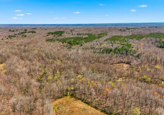 Photo 4 of House for sale at 0 Fowler Rd, Beech Bluff, TN 38313 | MLS# 3593059 | Listing updated on 2026-09-16