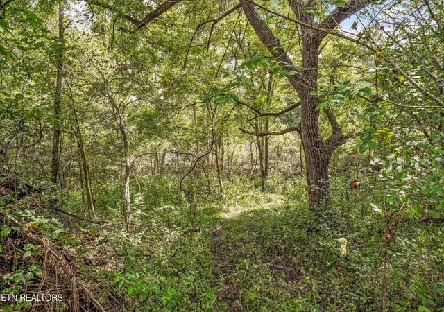 Photo 3 of House for sale at 0 Highway 131 W, Thorn Hill, TN 37881 | MLS# 3592530 | Listing updated on 2026-09-16