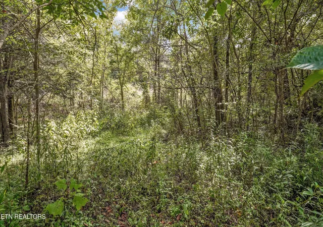 Photo 4 of House for sale at 0 Highway 131 W, Thorn Hill, TN 37881 | MLS# 3592530 | Listing updated on 2026-09-16