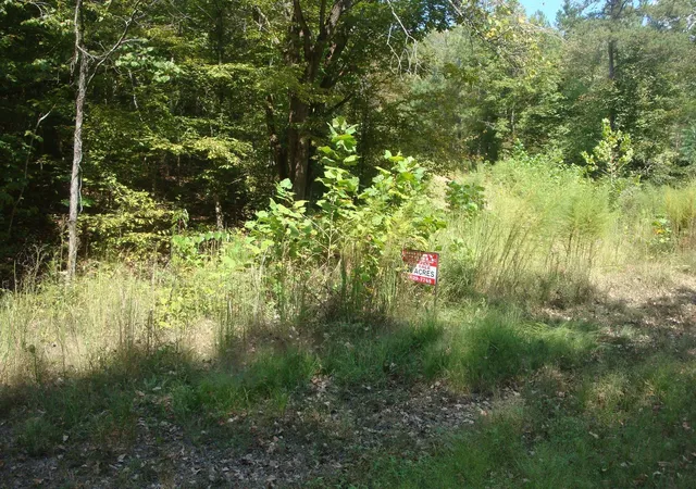 Photo 1 of Land for sale at 561 Allens Crk Rd, Hohenwald, TN 38462 | MLS# 3548032 | Listing updated on 2026-09-16