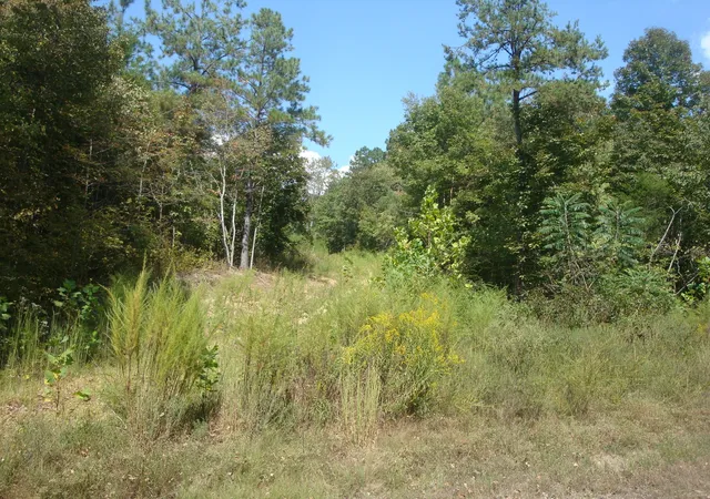 Photo 2 of Land for sale at 561 Allens Crk Rd, Hohenwald, TN 38462 | MLS# 3548032 | Listing updated on 2026-09-16