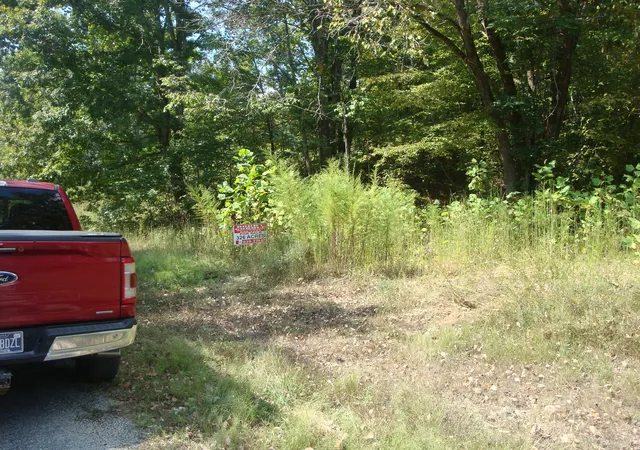Photo 3 of Land for sale at 561 Allens Crk Rd, Hohenwald, TN 38462 | MLS# 3548032 | Listing updated on 2026-09-16