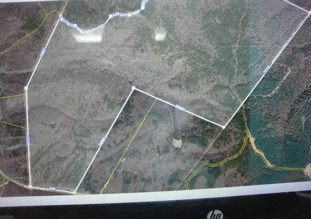 Photo 4 of Land for sale at 561 Allens Crk Rd, Hohenwald, TN 38462 | MLS# 3548032 | Listing updated on 2026-09-16