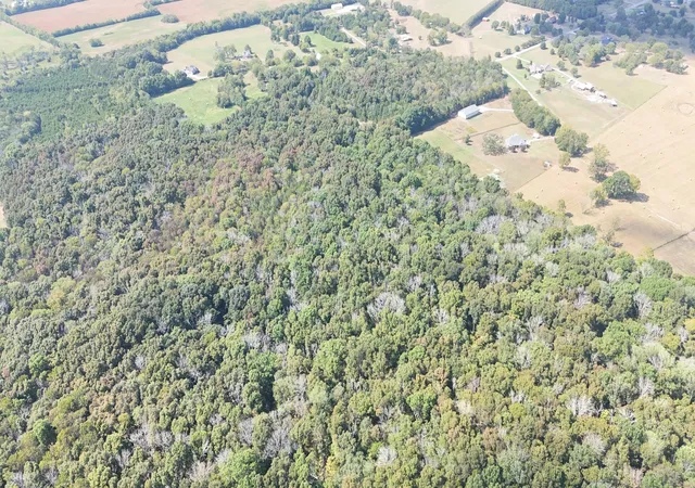 Photo 4 of House for sale at 0 Walnut Grv Rd, Lebanon, TN 37090 | MLS# 3593598 | Listing updated on 2026-09-17